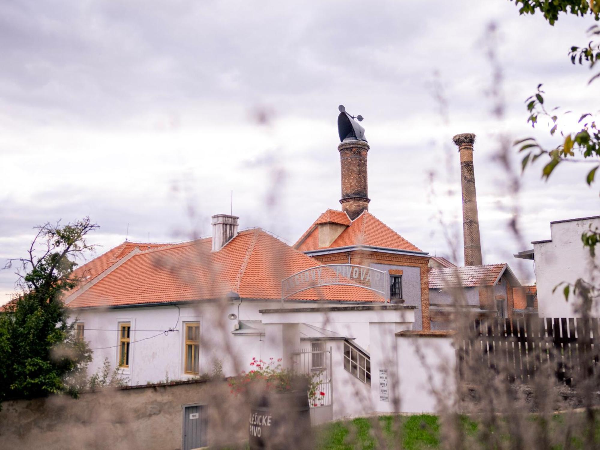 Pivovarsky Hotel Dalesice Extérieur photo